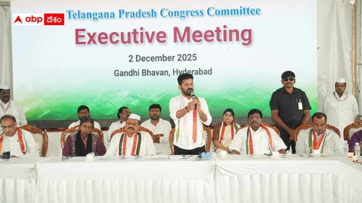 Telangana DCC Presidents: కాంగ్రెస్ జిల్లా అధ్యక్షులకు 6 నెలలే పదవి కాలం - పని చేయకపోతే ఊస్టింగ్ - రేవంత్ రెడ్డి వ్యూహం