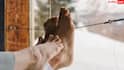 Winter Cracked Heels: सर्दियों में ही क्यों फटती हैं एड़ियां, क्या है इस दिक्कत से निपटने का तरीका?
