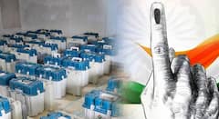 मतदारराजाचा कौल मतपेटीत कैद; राज्यभरातली नगरपरिषद आणि नगरपंचायत निवडणुकांची अंतिम टक्केवारी किती? वाचा सविस्तर