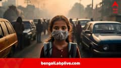 বায়ুদূষণ, অ্যান্টিবায়োটিকের অপব্যবহার, বিষাক্ত কফ সিরাপ…২০২৫-এ ভারতীয়দের স্বাস্থ্য বিপন্ন হল যে যে কারণে