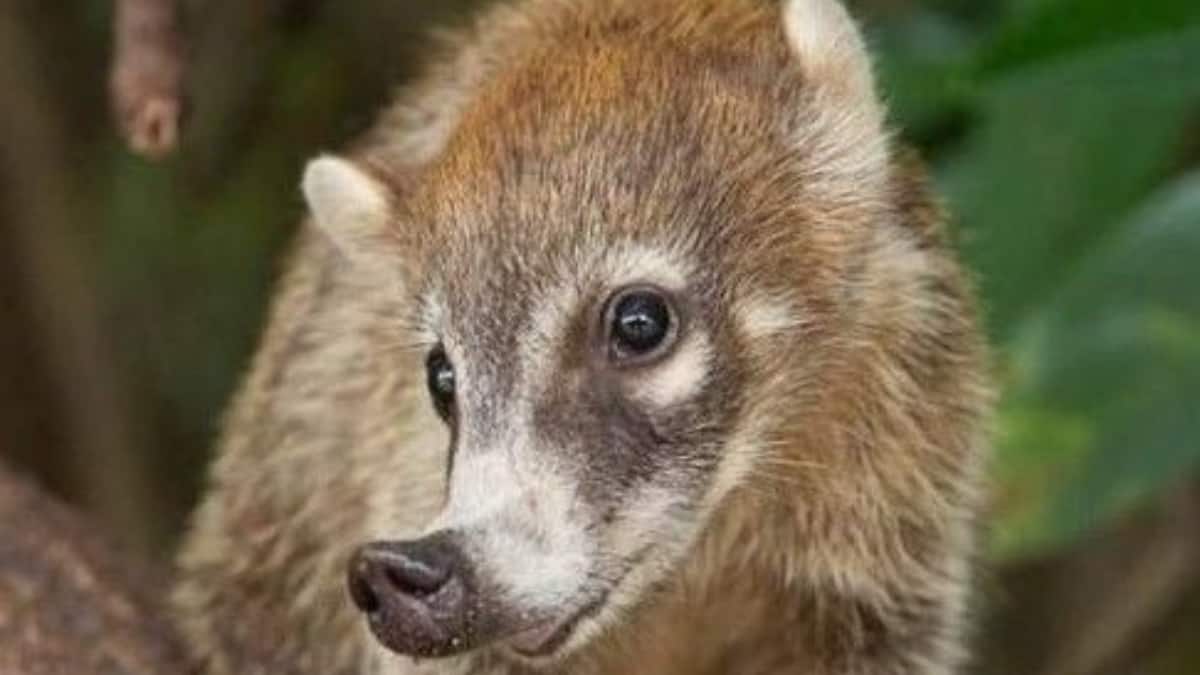 (Image Source: Pinterest/nathalie_marbles)