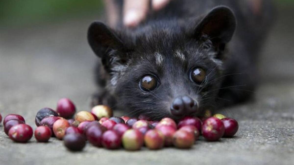 (Image Source: Pinterest/michellejude001)