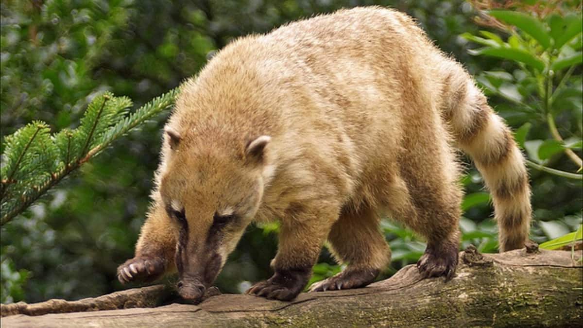 (Image Source: Pinterest/flickr)