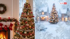 Christmas 2025: क्रिसमस पर क्या दें? ये 5 वास्तु उपहार घर में लाते हैं खुशहाली और पॉजिटिव एनर्जी