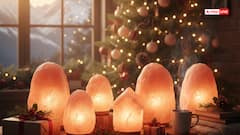 Christmas 2025: क्रिसमस पर क्या दें? ये 5 वास्तु उपहार घर में लाते हैं खुशहाली और पॉजिटिव एनर्जी