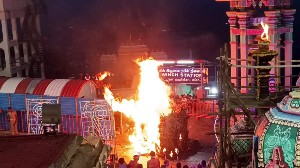 பழனி முருகன் கோவில் கார்த்திகை தீபம்: பக்தர்களின் பரவசம்! தங்க ரத புறப்பாடு ரத்து ஏன்? அறிய இதோ!