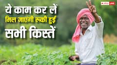 लगातार 3 बार से नहीं आई पीएम किसान की किस्त, कैसे करें अप्लाई कि मिल जाए पूरा पैसा?