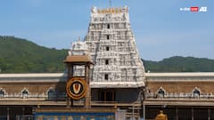 बालों के दान से लेकर दही चावल के प्रसाद तक, तिरुपति बालाजी मंदिर से जुड़े 6 रोचक तथ्य!