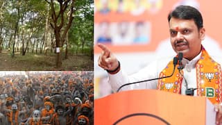 Devendra Fadnavis: तपोवनातील वृक्षतोडीबाबत देवेंद्र फडणवीसांचं रोखठोक वक्तव्य, म्हणाले, '10 वर्षांपूर्वीच्या गुगल इमेजमध्ये झाडं नव्हती'