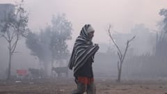 Punjab Shivers! Minimum Temperature Plunges, Fog Blankets Cities, Cold Wave Alert Issued