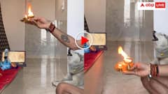 मंदिर में हुई कर्पूरगौरं आरती तो कुत्ता भी करने लगा पाठ, यूजर्स ने सनातन धर्म से जोड़ा कनेक्शन