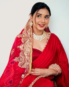 Bigg Boss 19: तान्या मित्तल नहीं ये दो कंटेस्टेंट हैं ज्यादा अमीर, फिनाले से पहले जानें टॉप 5 की नेटवर्थ