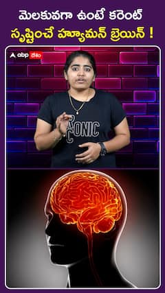 మెలకువగా ఉంటే కరెంట్ సృష్టించే హ్యూమన్ బ్రెయిన్ !