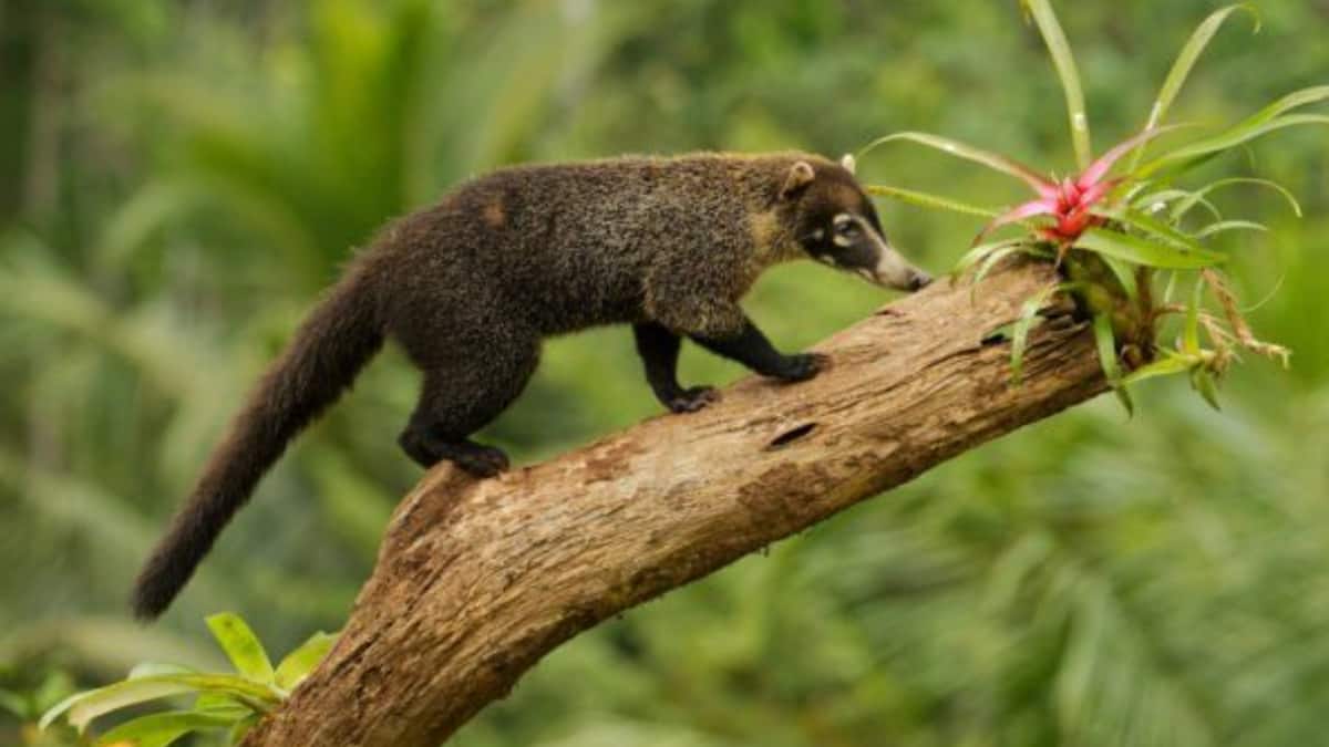 (Image Source: Pinterest/wospaces)