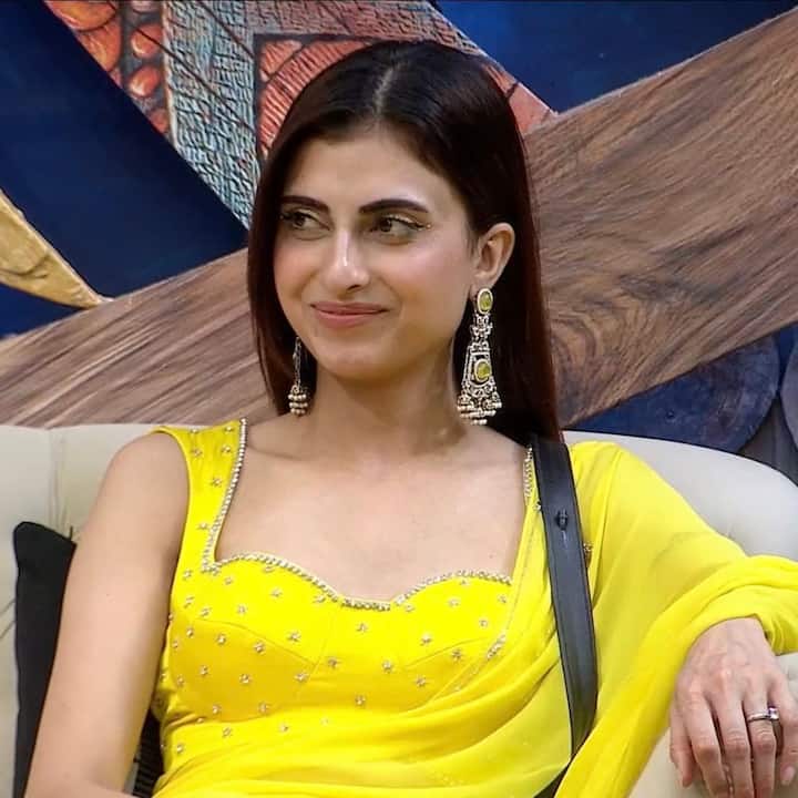 फरहाना भट्ट भी कमाई के मामले में पीछे नहीं हैं. उन्हें बॉलीवुड फिल्मों में भी देखा जा चुका है.रिपोर्ट के अनुसार फरहाना की नेटवर्थ 1.5 करोड़ से लेकर 3 करोड़ रुपये के बीच है.