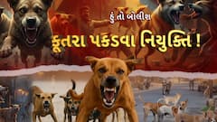 Hun To Bolish : હું તો બોલીશ : કૂતરા પકડવા નિયુક્તિ !