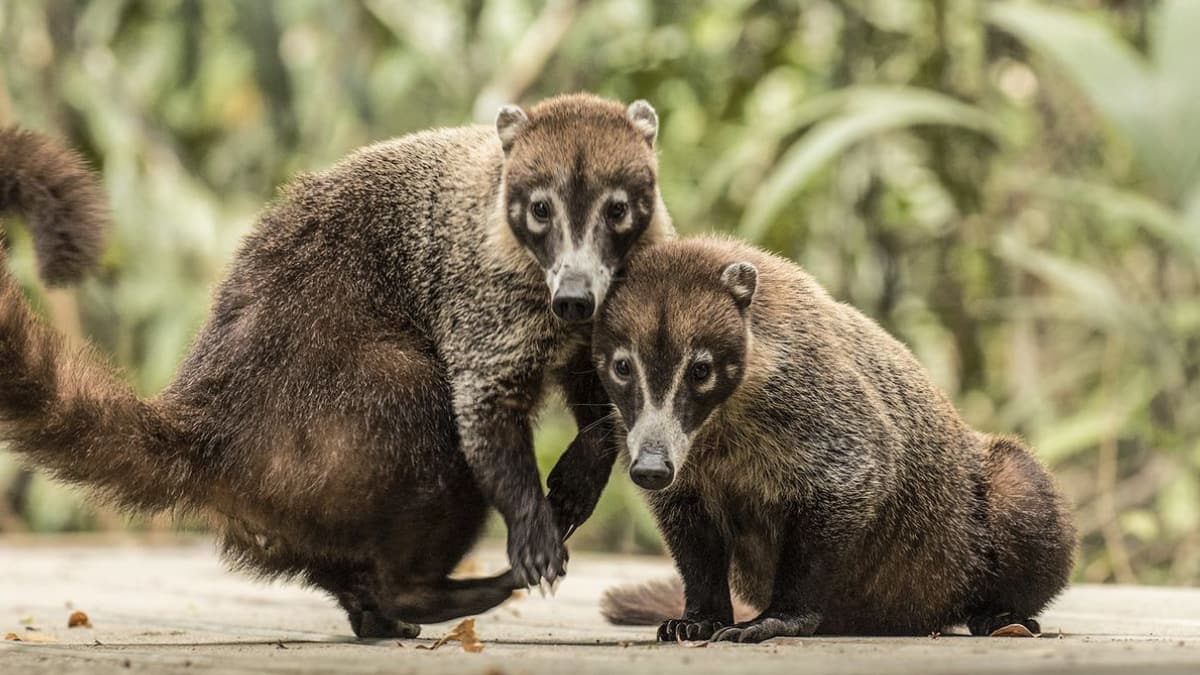 (Image Source: Pinterest/flickr)