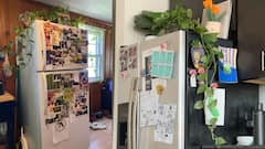 ఫ్రిజ్ పైన ఈ వస్తువులను ఉంచవద్దు! తీవ్రమైన వాస్తు దోషం ఏర్పడుతుంది, సంపద నిలిచిపోతుంది!