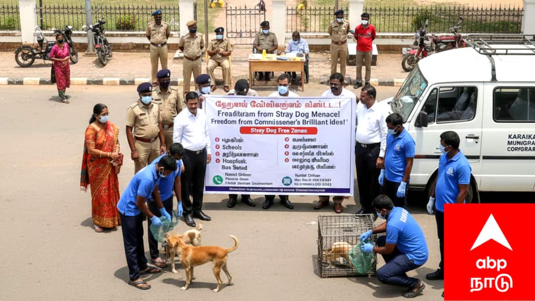 தெருநாய் தொல்லையிலிருந்து விடுதலை..! காரைக்கால் ஆணையரின் அசத்தல் ஐடியா..!