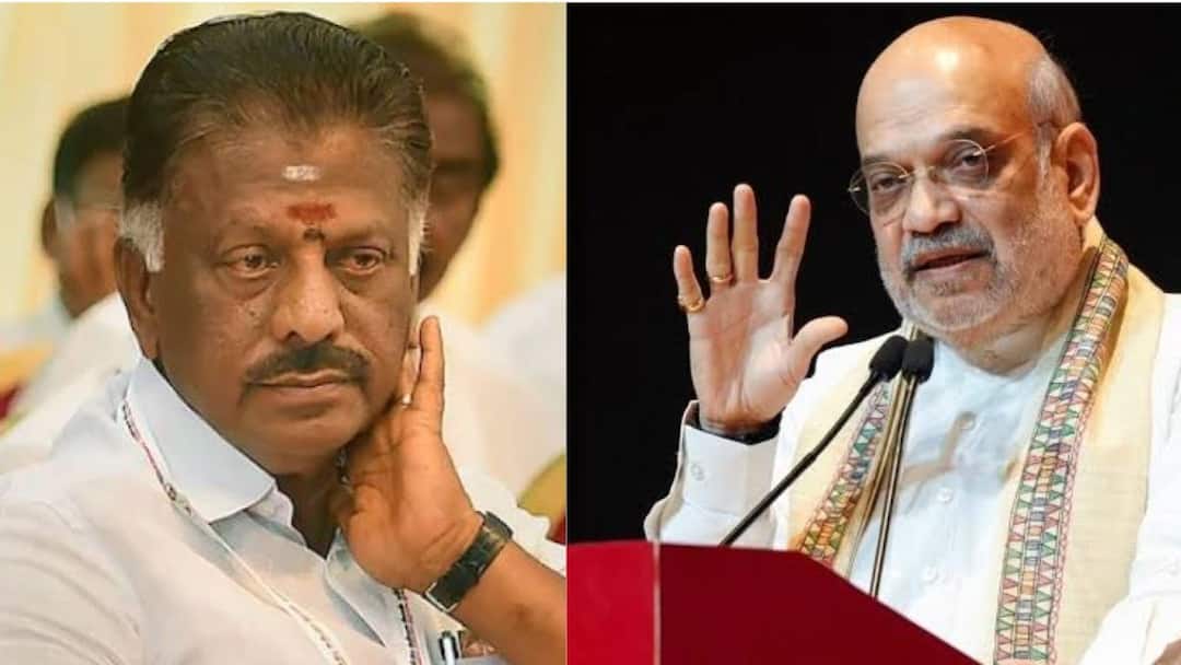 OPS met Amit Shah: அமித்ஷாவை தனியாக சந்தித்த ஓபிஎஸ்.! இது தான் காரணமா.? வெளியான ரகசிய தகவல்