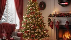 Christmas 2025: क्रिसमस पर क्या दें? ये 5 वास्तु उपहार घर में लाते हैं खुशहाली और पॉजिटिव एनर्जी