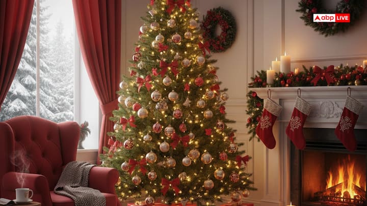 Christmas 2025: क्रिसमस, ईसा मसीह के जन्म का उत्सव है, जो हर साल 25 दिसंबर को मनाया जाता है. इस शुभ मौके पर उपहार दिया जाता है. ऐसे में वास्तु के अनुसार जानें किन चीजों का उपहार में देना शुभ है.