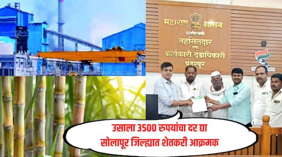 कोल्हापुरात उसाला 3500 रुपयांचा दर मिळतो मग सोलापुरातच 2800 का? शेतकरी आक्रमक, 8 तारखेपासून आमरण उपोषण 