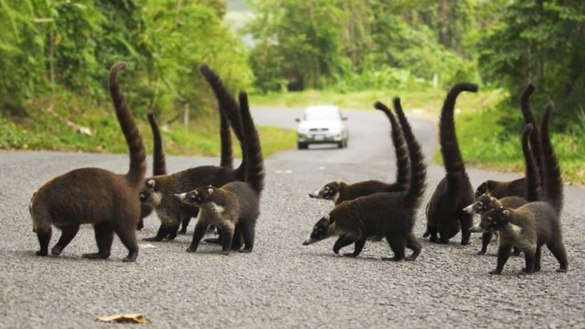 (Image Source: Pinterest/abetkababycard)