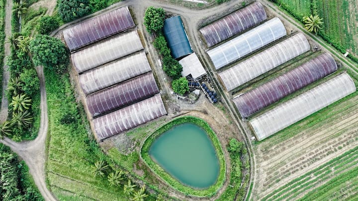 लेकिन असली तूफान तब आया जब 17वीं सदी में फ्रांस और इंग्लैंड इसकी खूबसूरती और सामरिक स्थिति पर फिदा हो गए.  लगातार 14 बार दोनों देशों ने इसे जीतने की कोशिश की कभी फ्रांस हावी, कभी ब्रिटेन हावी रहा. इसी चक्कर में इसे Helen of the West भी कहा जाने लगा, क्योंकि जैसे ट्रॉय की हेलन पर राजाओं ने युद्ध किए थे, वैसे ही सेंट लूसिया पर राष्ट्र भिड़ते रहे.