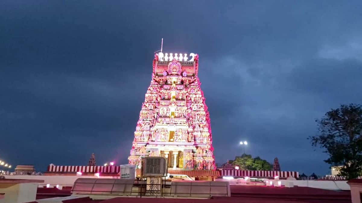 பழனி முருகன் கோவில் கார்த்திகை தீபம்: பக்தர்களின் பரவசம்! தங்க ரத புறப்பாடு ரத்து ஏன்? அறிய இதோ!