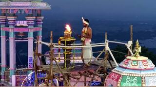 பழனி முருகன் கோவில் கார்த்திகை தீபம்: பக்தர்களின் பரவசம்! தங்க ரத புறப்பாடு ரத்து ஏன்? அறிய இதோ!