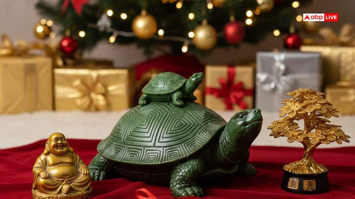 फेंगशुई में कछुआ सौभाग्य, दीर्घायु, स्थिरता, सुरक्षा और समृद्धि का प्रतीक है. यह जीवन में सकारात्मक ऊर्जा लाने और बुरी शक्तियों से बचाने में मदद करता है. इसे उपहार में देकर आप अपने दोस्तों के जीवन में खुशियां भर सकते हैं.
