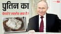 विदेश में दूध से बनी चीजें नहीं खाते पुतिन, फिर पनीर जैसा दिखने वाला त्वारोव क्या, जिसे रूस से साथ लाएंगे?