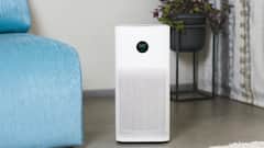 जहरीली हवा से बचने का सहारा बने एयर प्यूरिफायर, इस साल 30 प्रतिशत बढ़ गई बिक्री