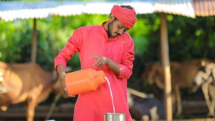 डेयरी बिजनेस गांव में शुरू करने के लिए आसान और फायदे का ऑप्शन है. 2-4 गाय या भैंस से शुरुआत करें और दूध, दही, पनीर, घी बेचें. आप न सिर्फ गांव में बल्कि आसपास के शहरों में भी अपने प्रोडक्ट बेच सकते हैं. लोकर और शहरी ग्राहकों के लिए रेगुलर सप्लाई से स्टेबल इनकम बनी रहती है.