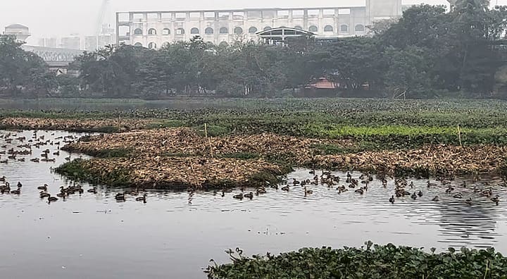 তাপমাত্রা সামান্যই পরিবর্তন হবে আগামী কয়েকদিন। খুব বেশি পারদ পতনের সম্ভাবনা নেই। আপাতত দিন পাঁচেক এই একই ধরনের তাপমাত্রা এবং শুষ্ক আবহাওয়াই বজায় থাকবে দক্ষিণবঙ্গের জেলাগুলিতে। 