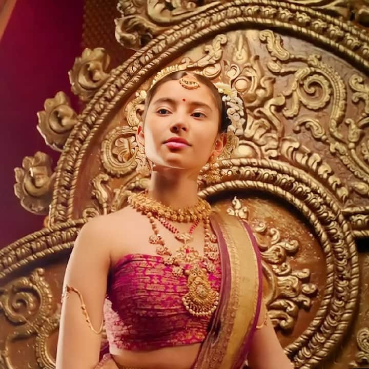 राज ने साउथ और बॉलीवुड सिनेमा में काम किया है. राज ने साल 2002 में अजय देवगन संग फिल्म कंपनी में छोटा रोल प्ले किया था.