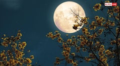 December Supermoon 2025: आज आसमान में ही बनाए रखें नजर, दिखेगा साल 2025 का आखिरी अद्भुत सुपरमून