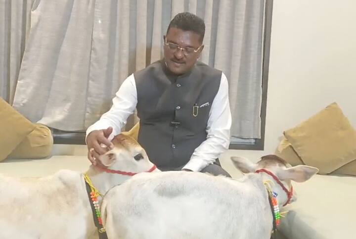राधे प्रताप सरनाईक आणि शाम प्रताप सरनाईक अशी या दोन्ही गाईंना सरनाईक यांनी नाव दिली आहेत