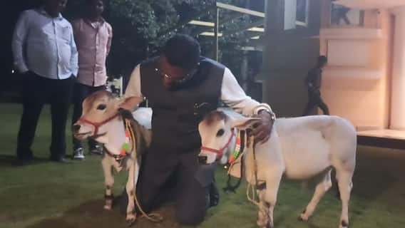 मंत्री प्रताप सरनाईकांच्या कुटुंबात नवीन सदस्याची भर, दोन गाई घेतल्या दत्तक