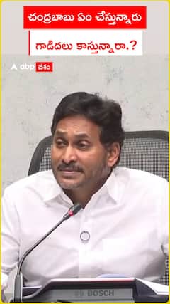 చంద్రబాబు ఏం చేస్తున్నారు   గాడిదలు కాస్తున్నారా.?