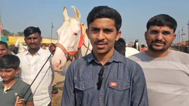 येथील बाजारात पहिल्याच दिवशी 11 लाख रुपये किमतीला एका घोड्याची विक्री झाली असून पुणे जिल्ह्यातील दौंड येथील आमदार राहुल कुल यांचे चिरंजीव आदित्य कुल यांनी अकरा लाखाची गुढी खरेदी केली.