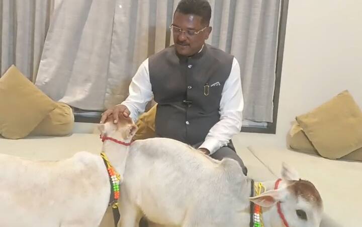 राधे प्रताप सरनाईक आणि शाम प्रताप सरनाईक अशी या दोन्ही गाईंना सरनाईक यांनी नाव दिली आहेत