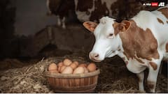 बिहार: नई सरकार के बाद आई बड़ी खुशखबरी, इन मामलों में देश से भी आगे निकला बिहार