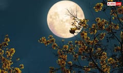 ਸ਼ਾਮ ਹੁੰਦਿਆਂ ਹੀ ਅਸਮਾਨ 'ਚ ਰੱਖੋ ਨਜ਼ਰ, ਸੂਪਰਮੂਨ ਪੂਰੀ ਕਰ ਸਕਦਾ ਤੁਹਾਡੀ Wish