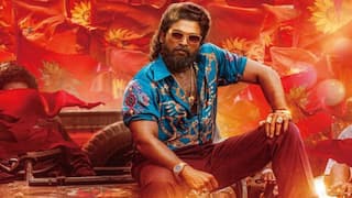 Pushpa 2 Japan Release : 'జపాన్'లో 'పుష్ప' గాడి క్రేజ్ - రిలీజ్ ఎప్పుడో తెలుసా?