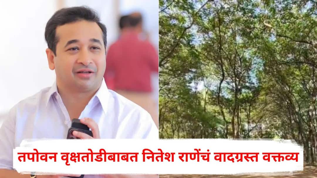 Nitesh Rane on Nashik Tree Cutting: तपोवन वृक्षतोडीची चिंता करणारे पर्यावरणवादी बकरी ईदला गप्प का? नितेश राणेंचं वादग्रस्त वक्तव्य, नव्या वादाला तोंड फुटलं! Nitesh Rane on Nashik Tapovan Tree Cutting for Sadhugram Maharashtra Politics Nitesh Rane on Nashik Tree Cutting: तपोवन वृक्षतोडीची चिंता करणारे पर्यावरणवादी बकरी ईदला गप्प का? नितेश राणेंचं वादग्रस्त वक्तव्य, नव्या वादाला तोंड फुटलं!