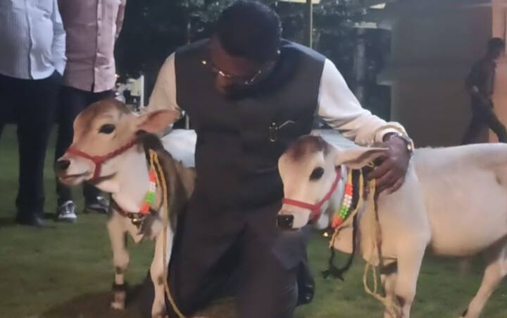 धाराशिव मधील पूरग्रस्त शेतकऱ्यांना येत्या 28 डिसेंबर ला सरनाईक यांच्याकडून 101 गिर जातीच्या गाईंच वाटप करणार आहेत.