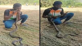 વીજ કરંટથી બેભાન થઇ ગયેલા સાપને યુવકે મોંઢાથી CPR આપી બચાવ્યો, યુવકની બહાદુરી પર લોકો ફિદા, વીડિયો વાયરલ