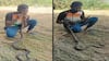 Video: बिजली के झटके से बेहोश हो गया सांप, युवक ने मुंह से CPR देकर बचाया, वीडियो वायरल